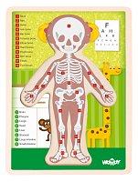 Puzzle ´´Lidské tělo´´ - Holka EN