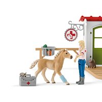 Veterinární ordinace pro domácí zvířata