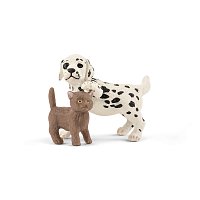 Veterinární ordinace pro domácí zvířata