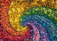 Puzzle 1000 dielikov Colorboom - Whirl