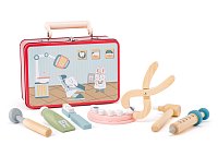 Pretend play - dentist in a carry case