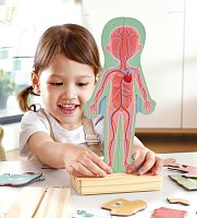 Magnetické puzzle - Lidské tělo