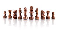 Chess game Popular, magnetic
