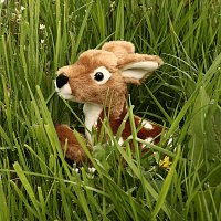 Plush fawn 22 cm ECO-FRIENDLY