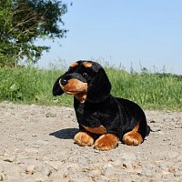 Plush Dachshund 30 cm ECO-FRIENDLY
