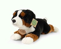 Plush Bernese 30 cm ECO-FRIENDLY