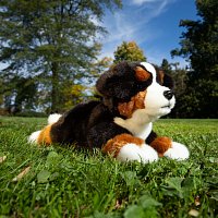 Plush Bernese 30 cm ECO-FRIENDLY