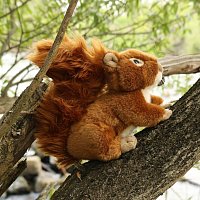 Plush squirrel 17 cm ECO-FRIENDLY