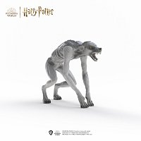 Harry Potter - Vlkodlak vs. Zvěromág