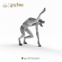 Harry Potter - Vlkodlak vs. Zvěromág