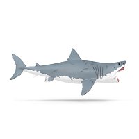 Megalodon