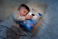 NICI Cosidoos plyš Pejsek oboustranný motiv 30x20cm