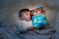 NICI Cosidoos plyš Medvěd oboustranný motiv 30x20cm