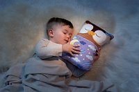 NICI Cosidoos plyš Sova oboustranný motiv 30x20cm