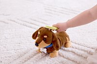 Sada veterináře - péče o štěňátko