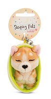 NICI klíčenka spící Pejsek Welsh Corgi 12 cm, světle zelený košík, GREEN
