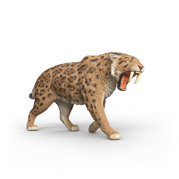 Prehistorické zvířátko - Šavlozubý tygr