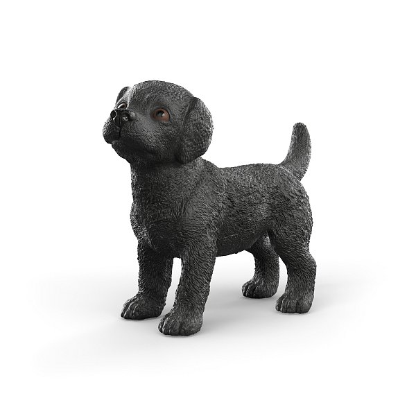 Zvířátko - černé štěně labradorského retrívra