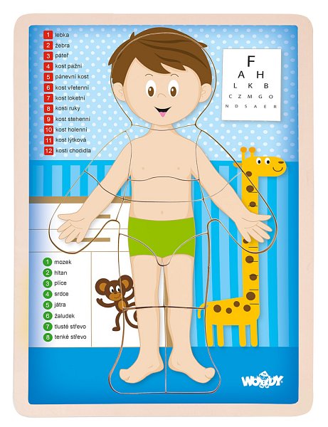 Puzzle ´´Lidské tělo´´ - Kluk CZ