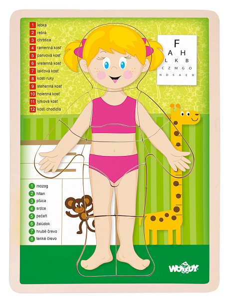 Puzzle ´´Lidské tělo´´ - Holka SK