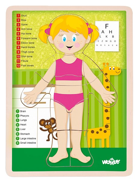Puzzle ´´Lidské tělo´´ - Holka EN