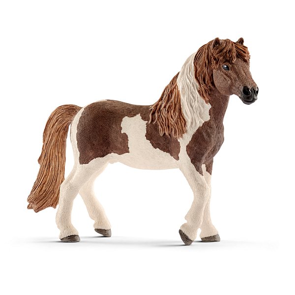 Zvířátko - islandský Pony hřebec
