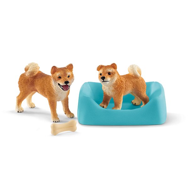 Fenka a štěně Shiba Inu