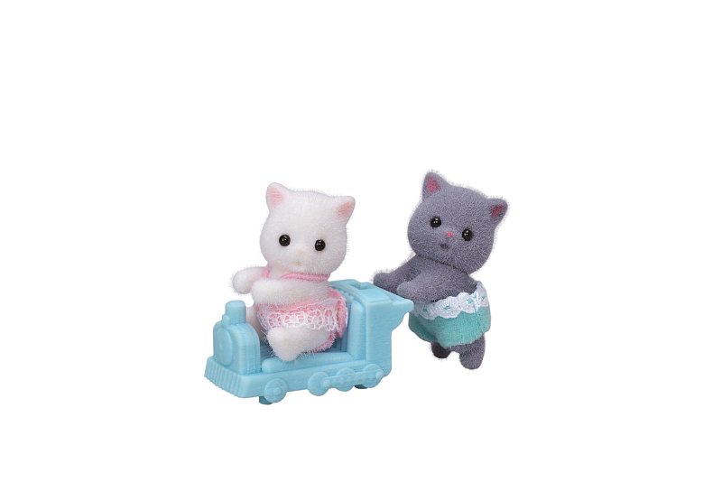 Dvojčata Perské kočky