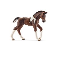Zvířátko - hříbě koně trakénského