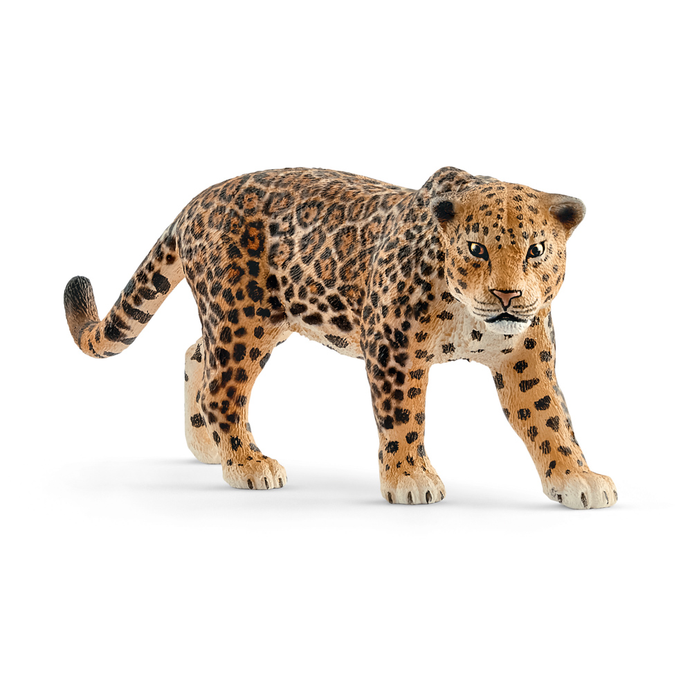 Zvířátko - jaguár