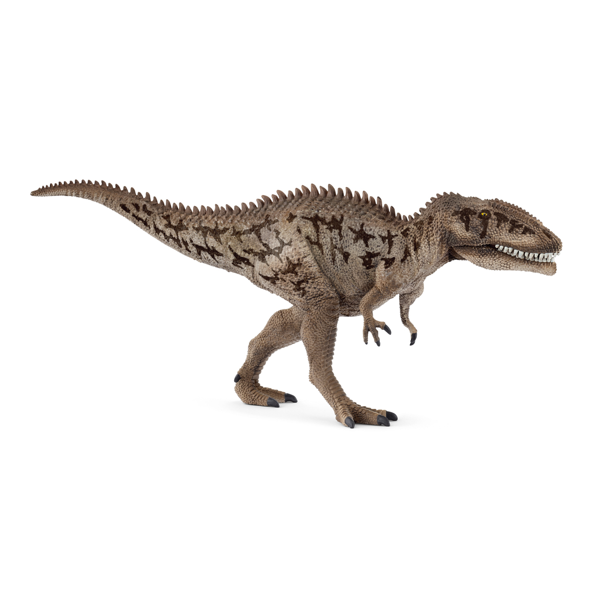 Prehistorické zvířátko - Carcharodontosaurus